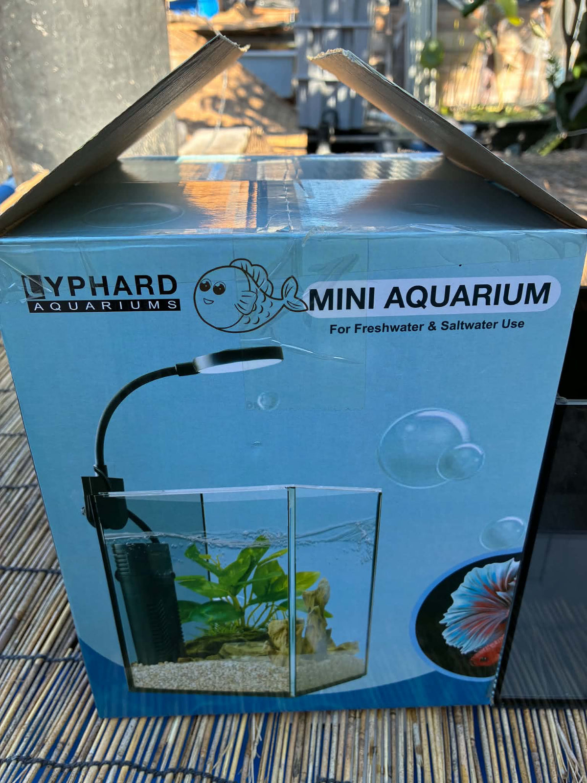 Betta Fish Tank 6x6x8 inch