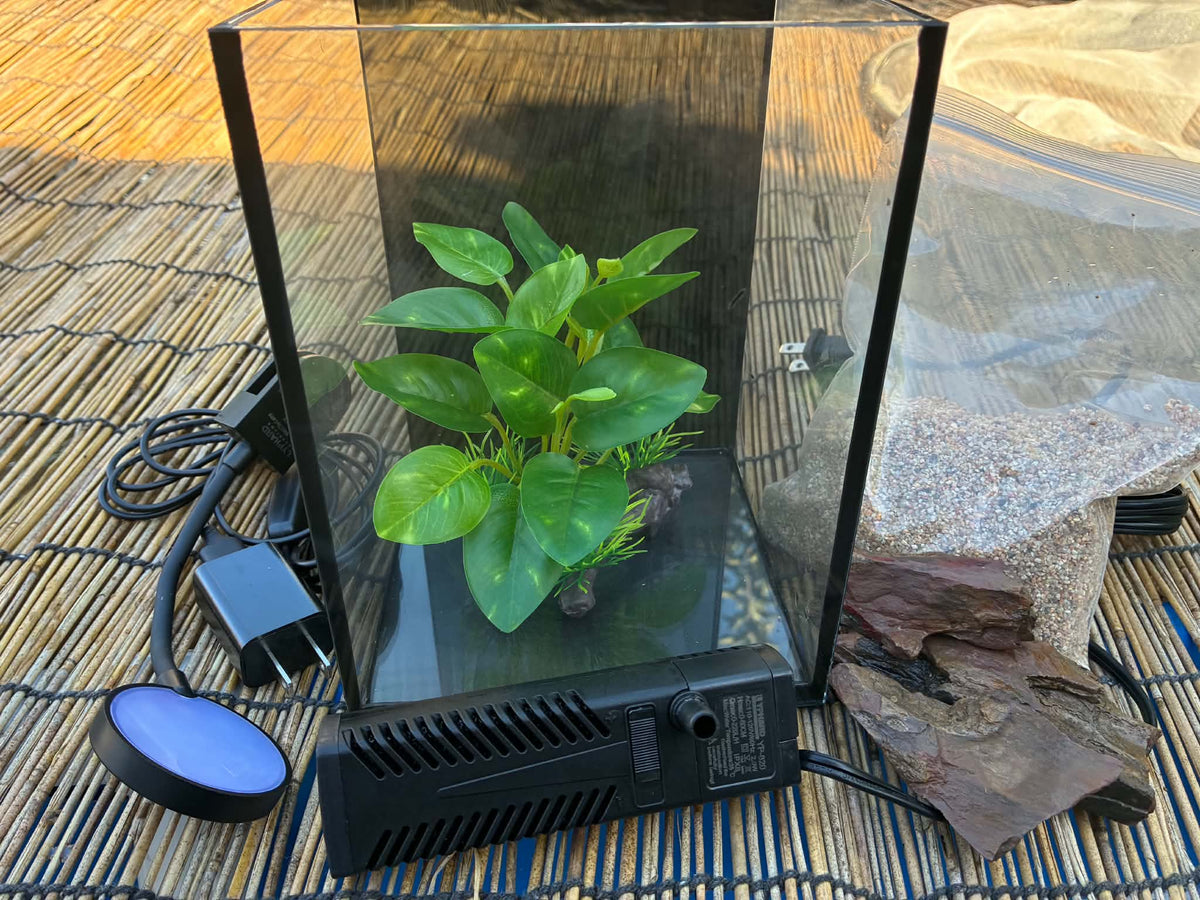 Betta Fish Tank 6x6x8 inch